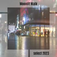 Moonlit Walk Select 2023