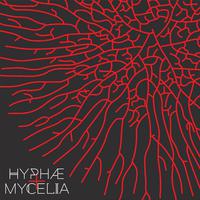 Hyphae+ Mycelia