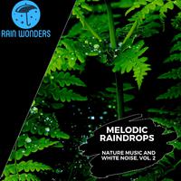 Melodic Raindrops - Nature Music and White Noise, Vol. 2