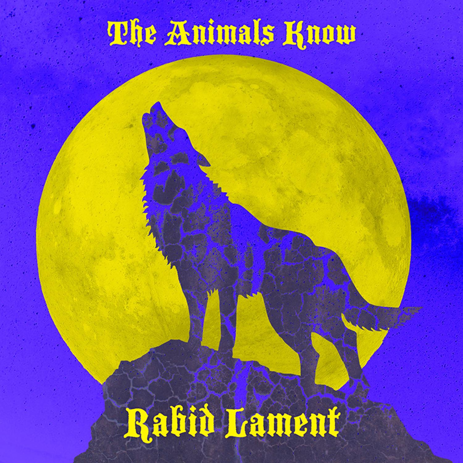 Shelter from the Norm