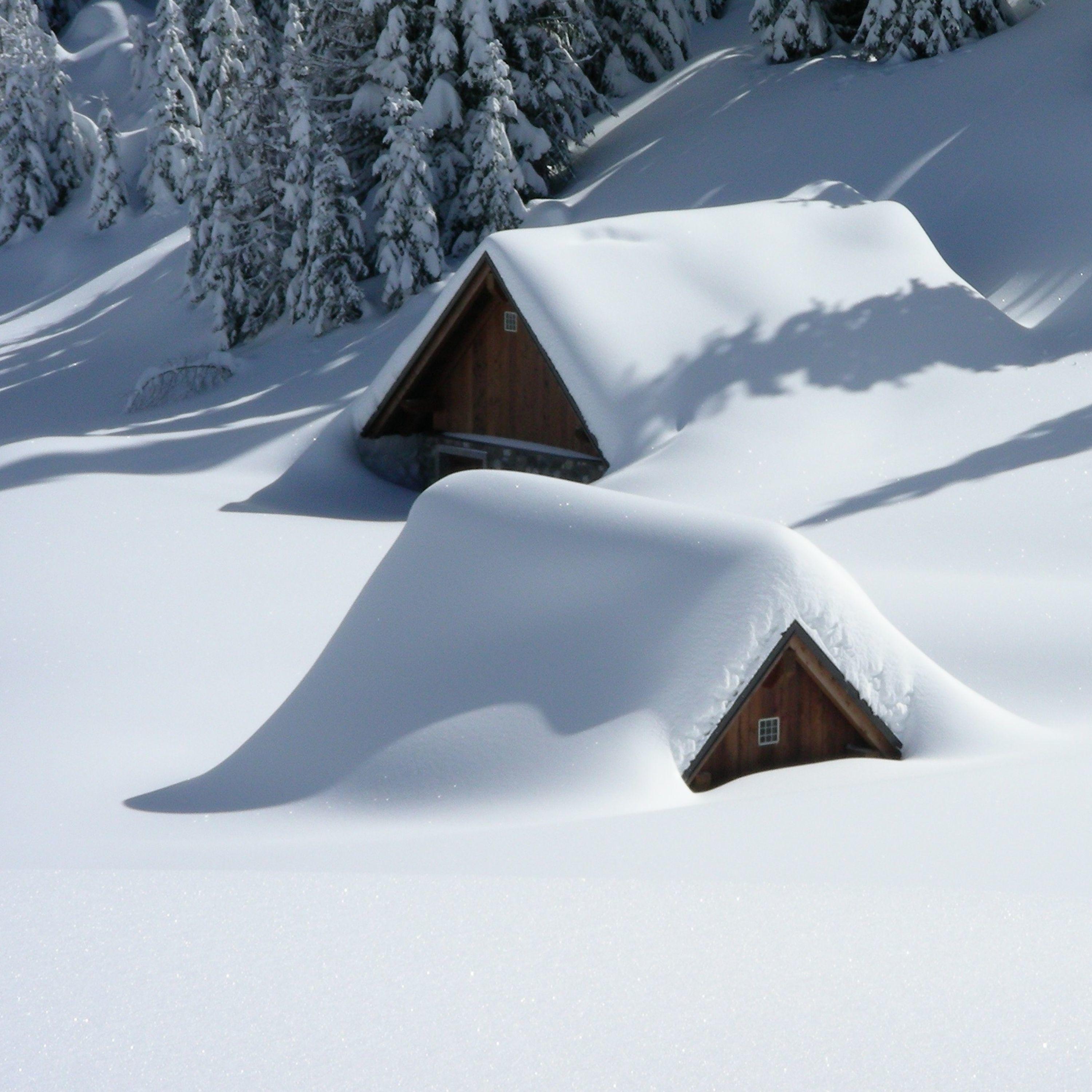 Tiny Tots with Their Eyes All A-Glow