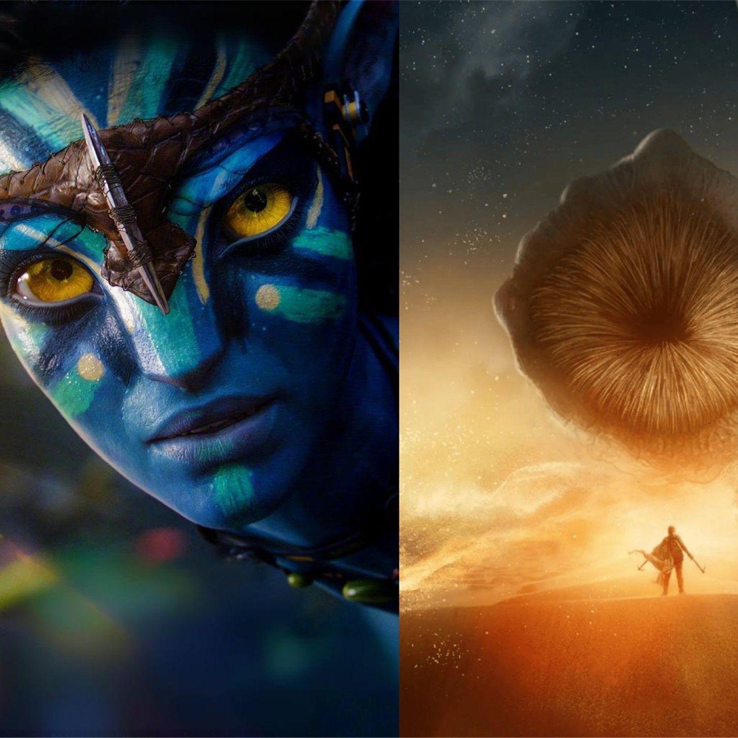 格蕾丝·奥古斯汀博士