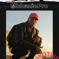 MkhazinPro