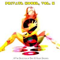 Private House, Vol. 3 (A Fine Selection of Deep & House Grooves)