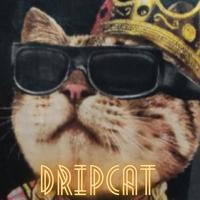 Dripcat (feat. Noah Thomas) [Remastered]