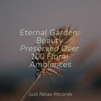 Eternal Garden: Beauty Preserved Over 100 Floral Ambiences