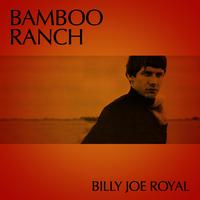 Bamboo Ranch