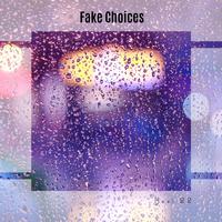 Fake Choices Best 22