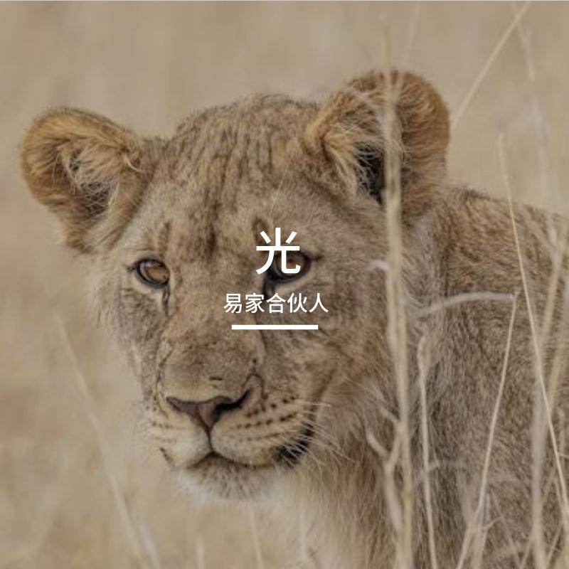 时结封面