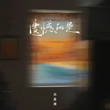 遗憾的是 (DJAh版)封面