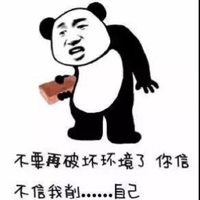 北极海冰消融情势严峻,你可以没对象,但你要保护环境