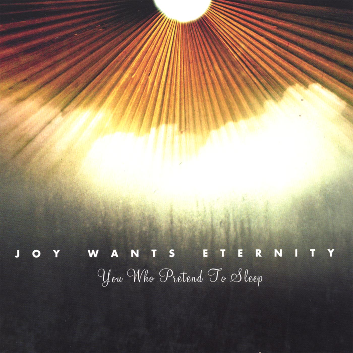 From Embrace to Embrace_Joy Wants Eternity_You Who Pretend to Sleep | 在线播放_From Embrace to Embrace歌词_From Embrace to Embrace下载 | 网易云音乐