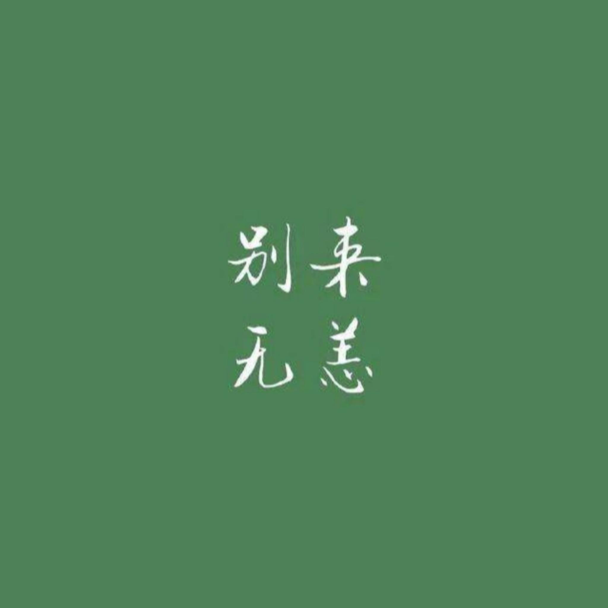 落幕人 (DJ女声版)封面
