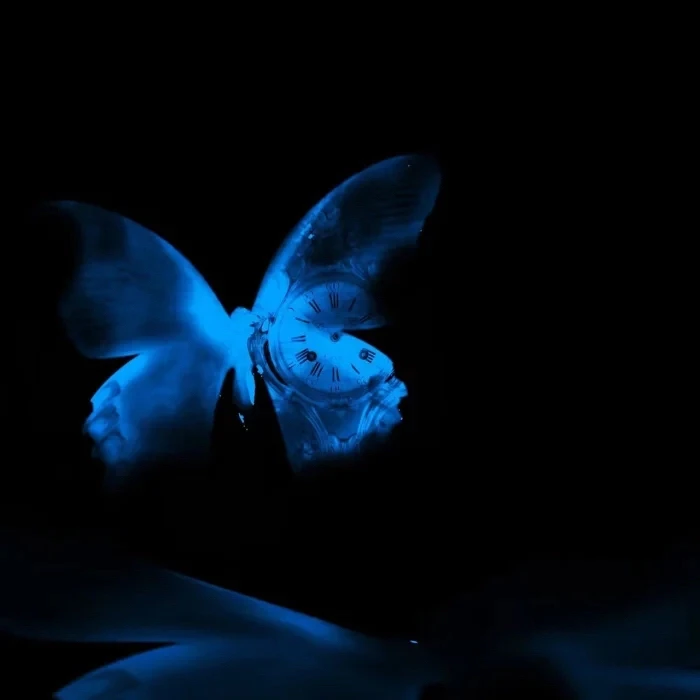 风吹雨成花（prod.tired）