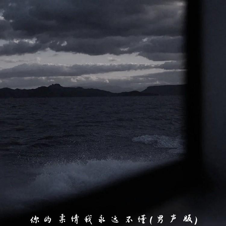你的柔情我永远不懂 (男声版)封面