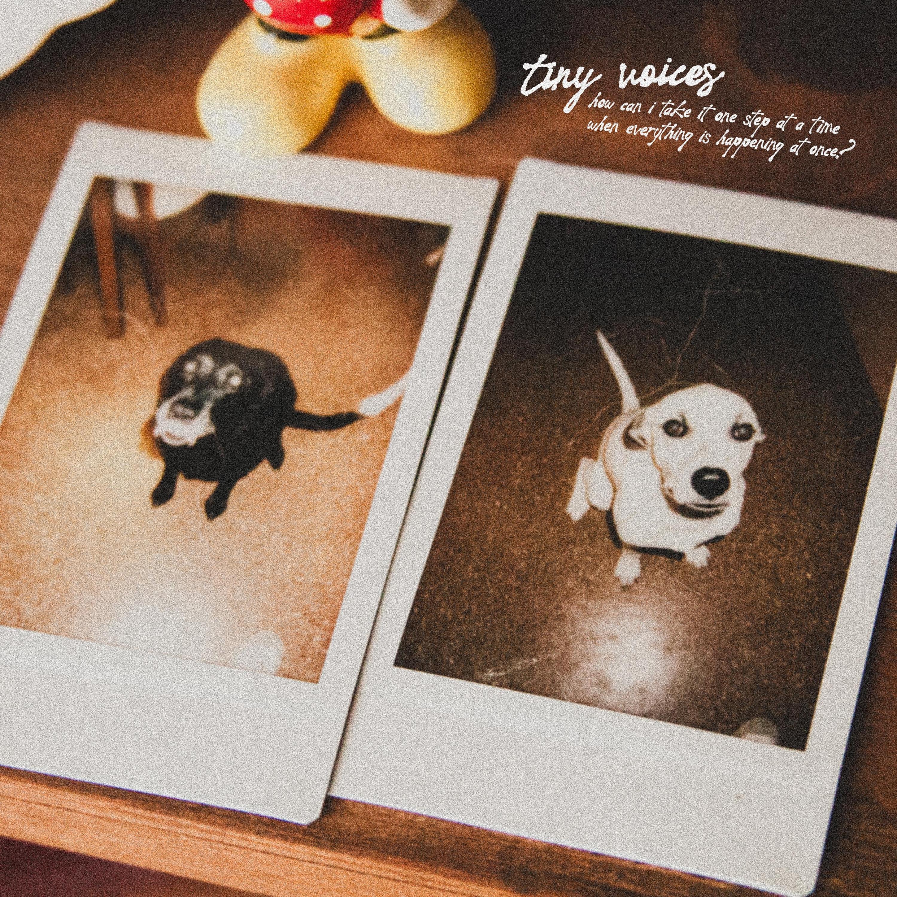 (how can i) take it one step at a time when everything is happening at once?