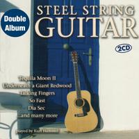 Steel String Guitar