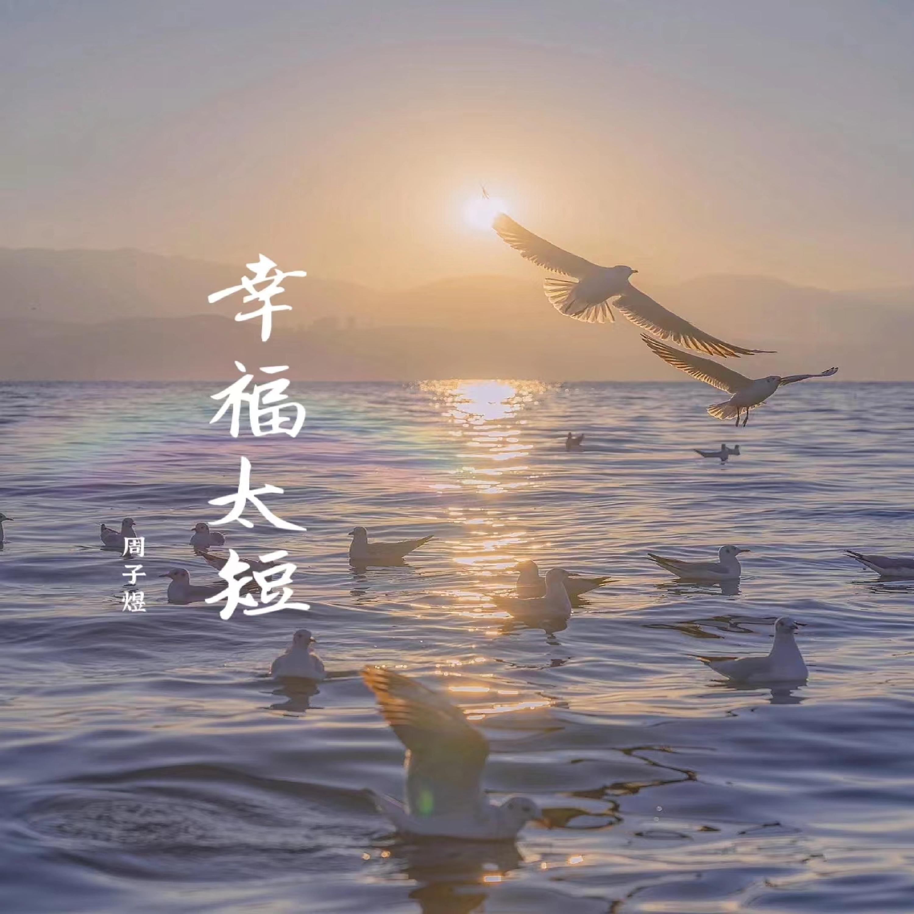 幸福太短封面