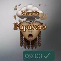 Papavero