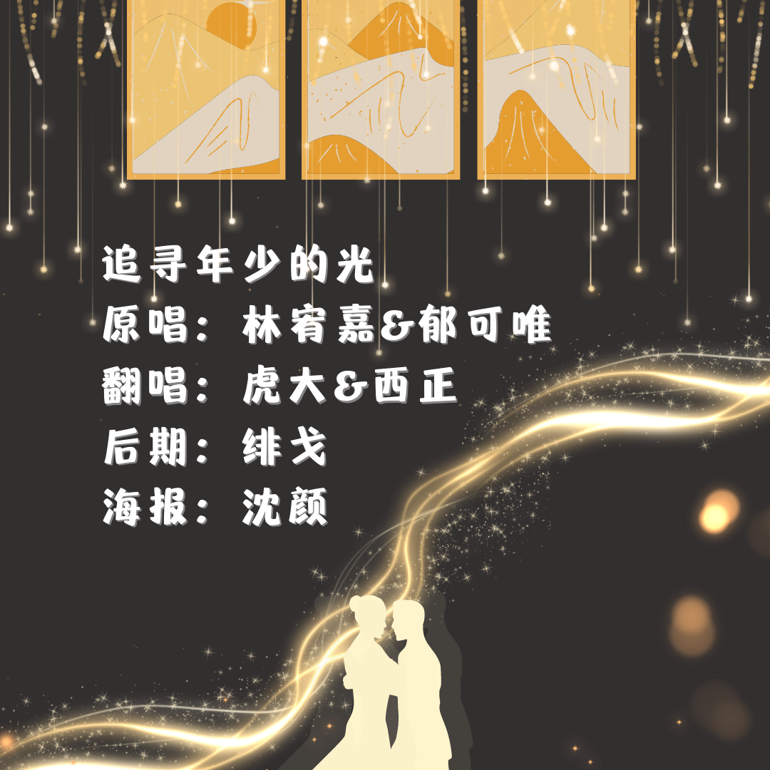 追寻年少的光封面