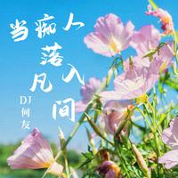 凯小晴、苏潇潇 - 当痴人落入凡间（DJ何友版）