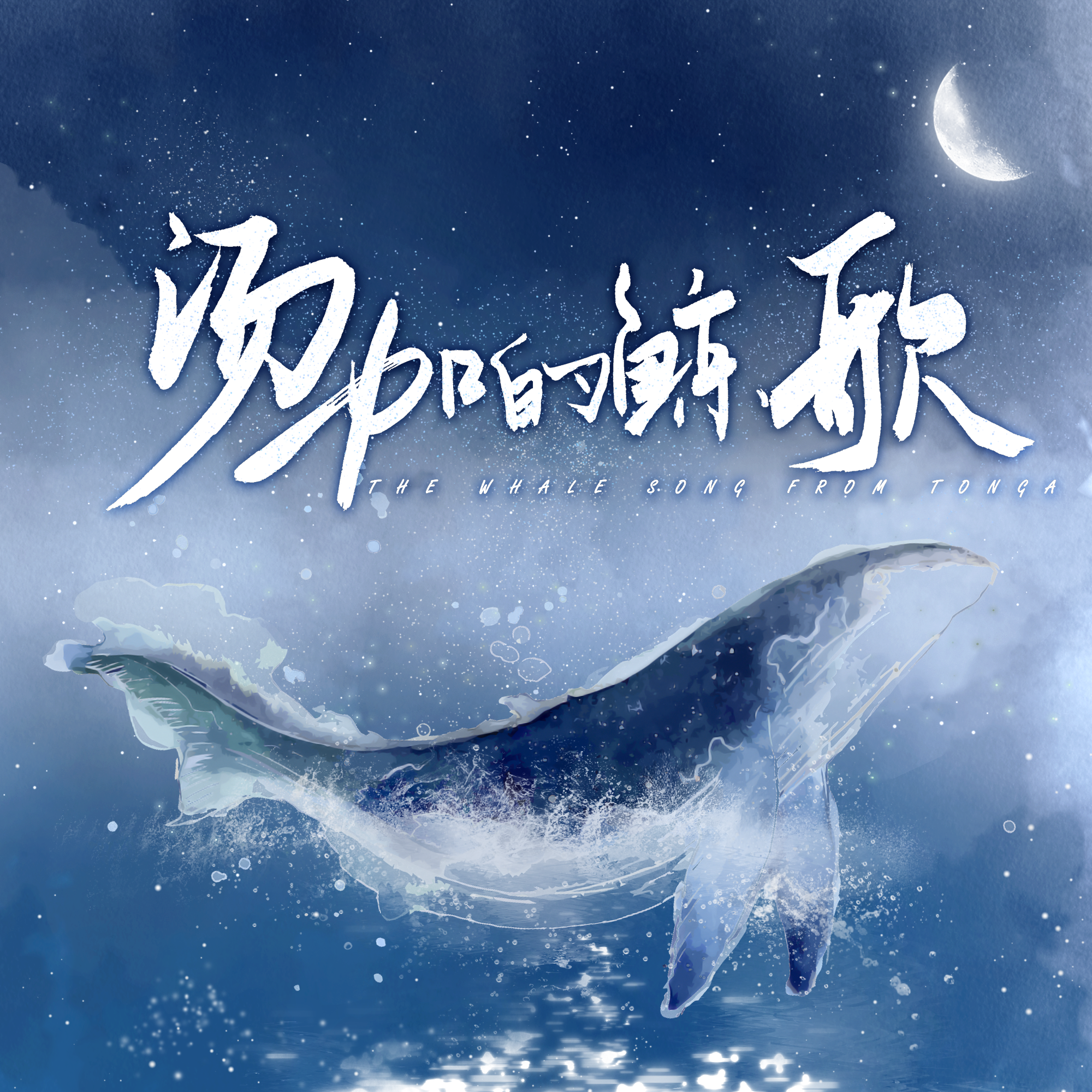 汤加的鲸歌 伴奏封面