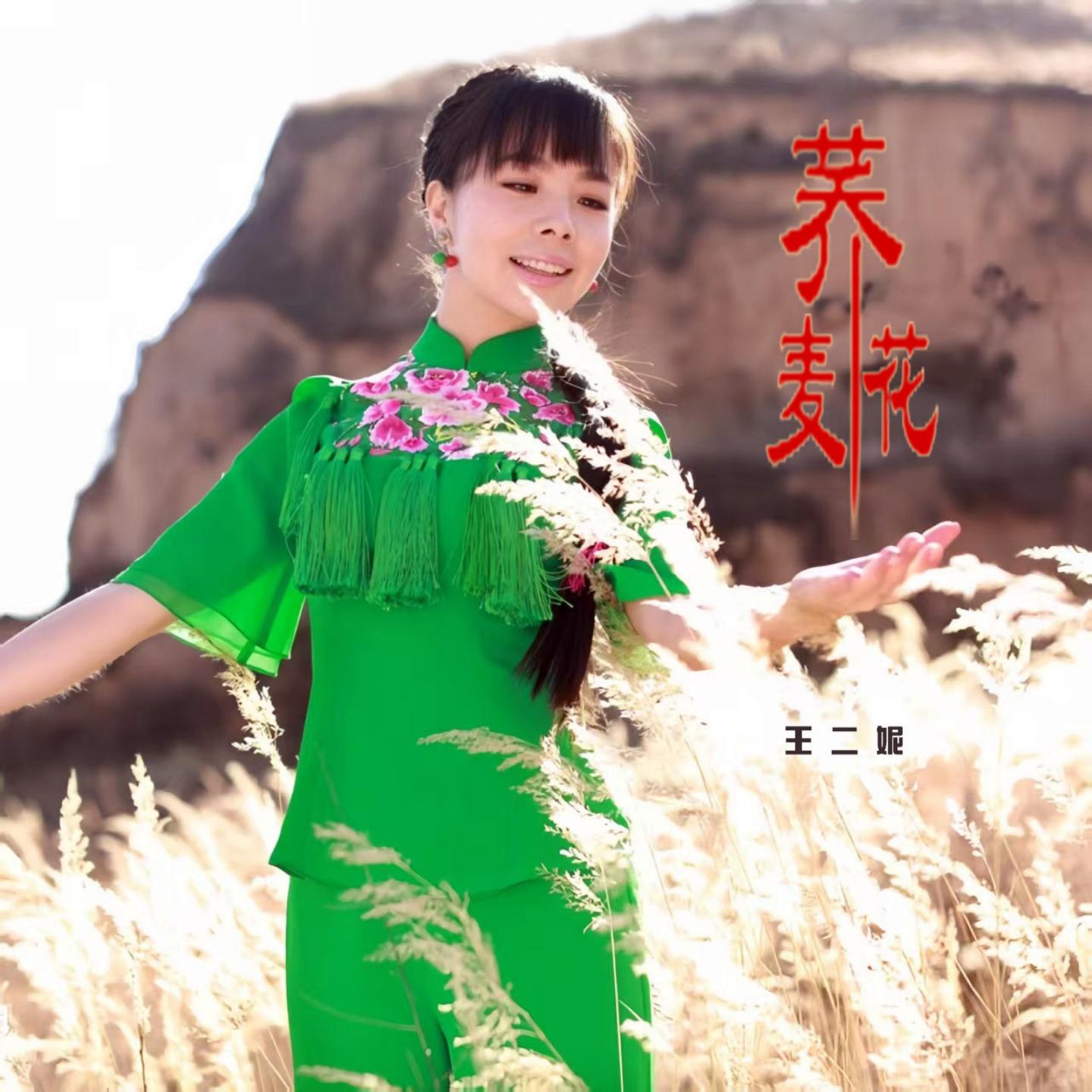 王二妮-《荞麦花》
