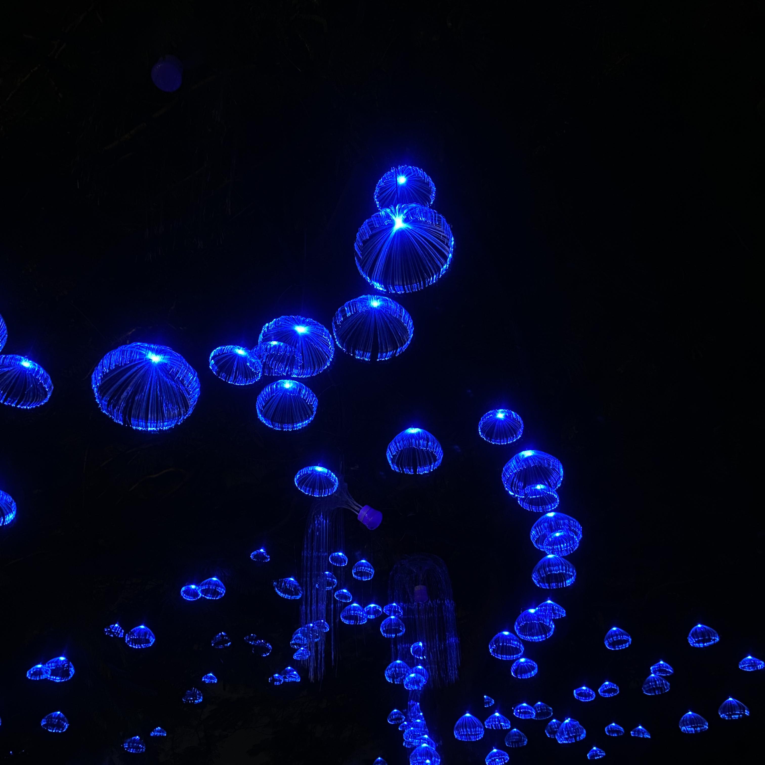 今晚喝酒 ethanol in my bloodline