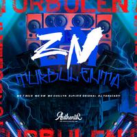 Zn Turbulenta
