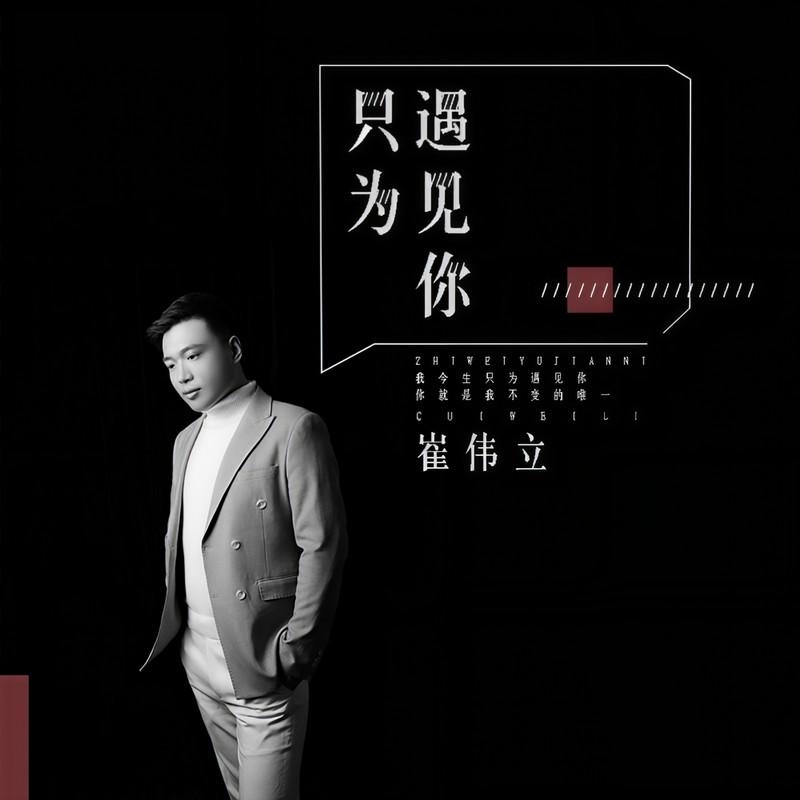 只为遇见你 (DJ何鹏版)封面