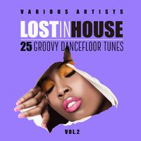 Lost in House (25 Groovy Dancefloor Tunes), Vol. 2