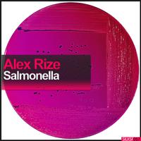 Salmonella