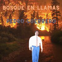 Bosque en Llamas