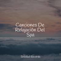 Canciones De Relajación Del Spa