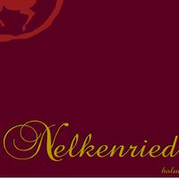 Nelkenried