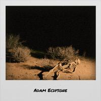 Adam Ecdysone