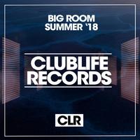 Big Room Summer '18