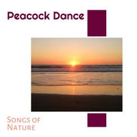 Peacock Dance - Songs of Nature