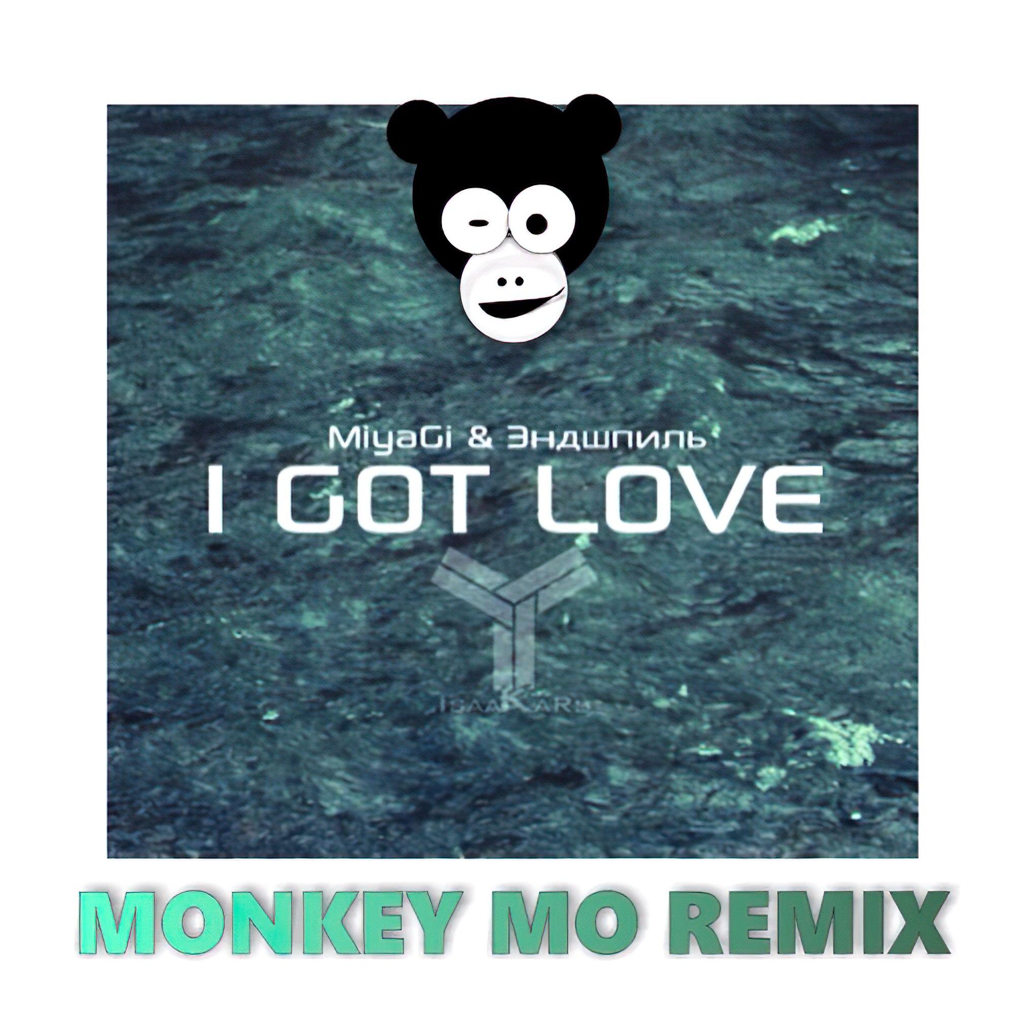 I Got Love (Monkey MO Remix)