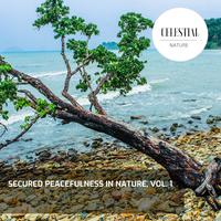 Secured Peacefulness in Nature, Vol. 1