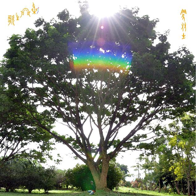 song-img