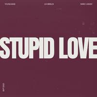 Stupid Love