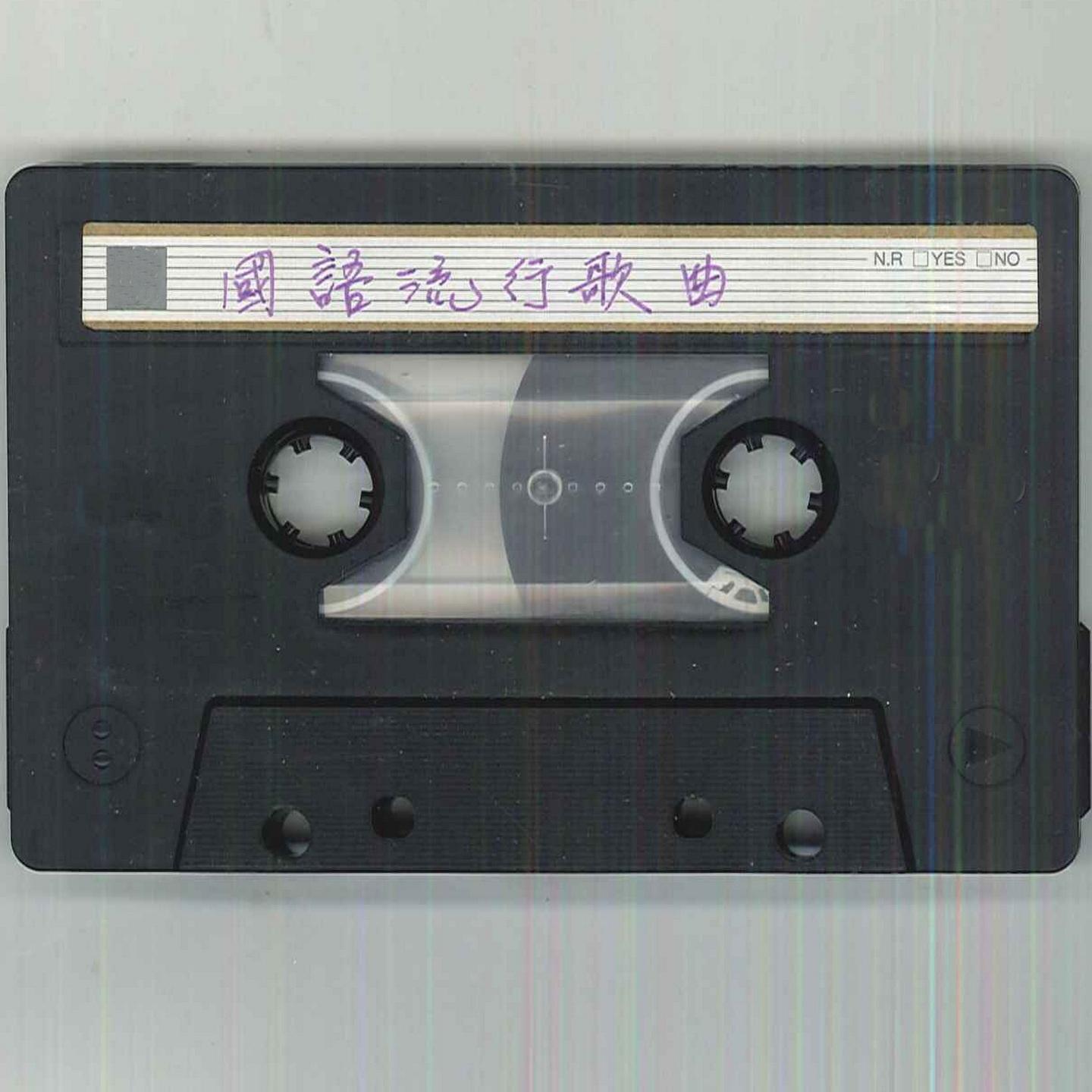 爱人同志封面