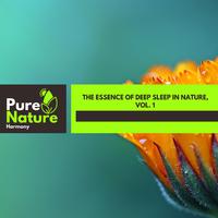 The Essence of Deep Sleep in Nature, Vol. 1