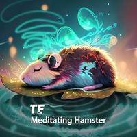 Meditating Hamster