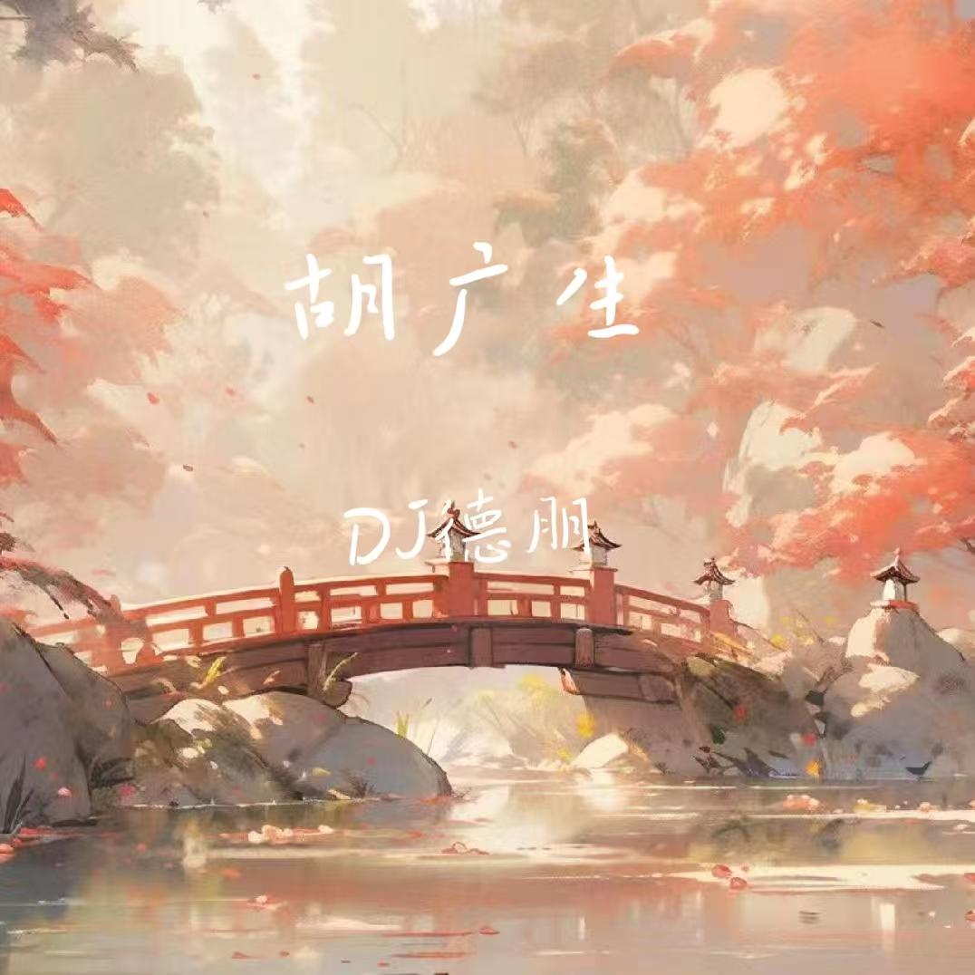 胡广生 (DJ版)封面