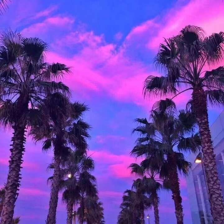你懂得封面