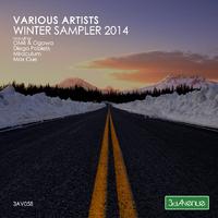 Winter Sampler 2014