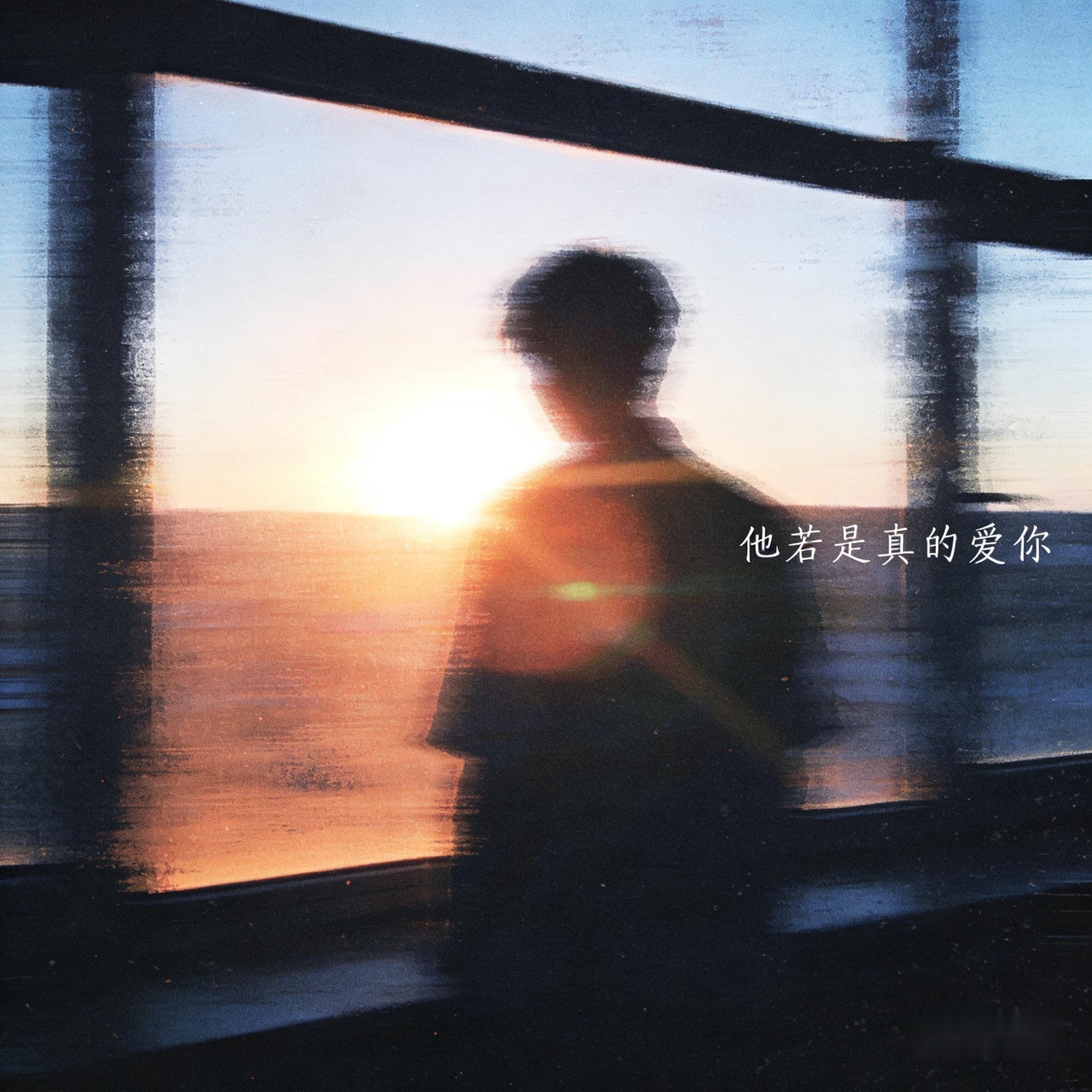 他若是真的爱你封面