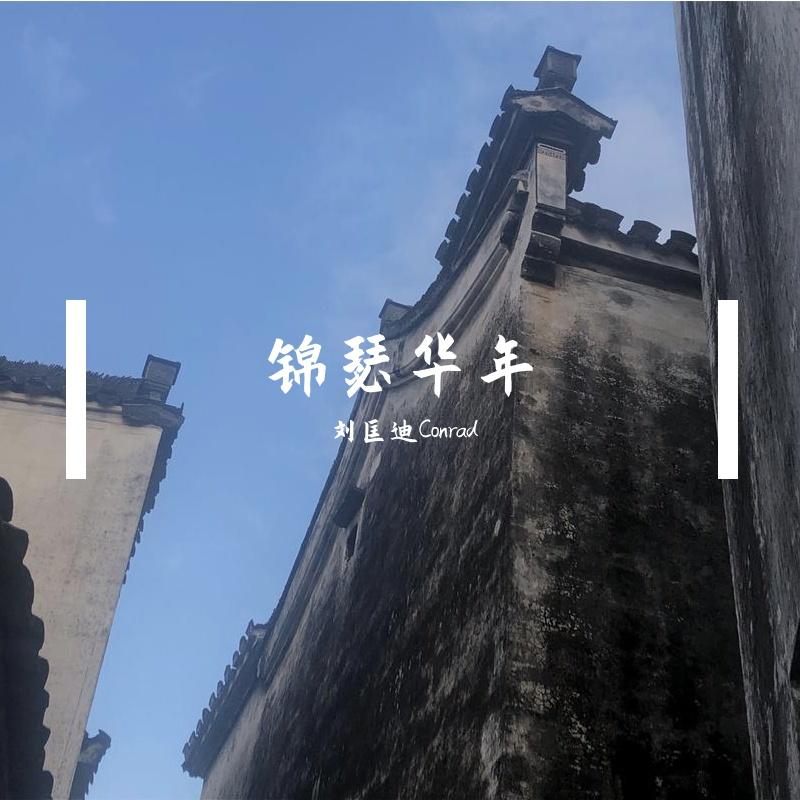 锦瑟华年封面